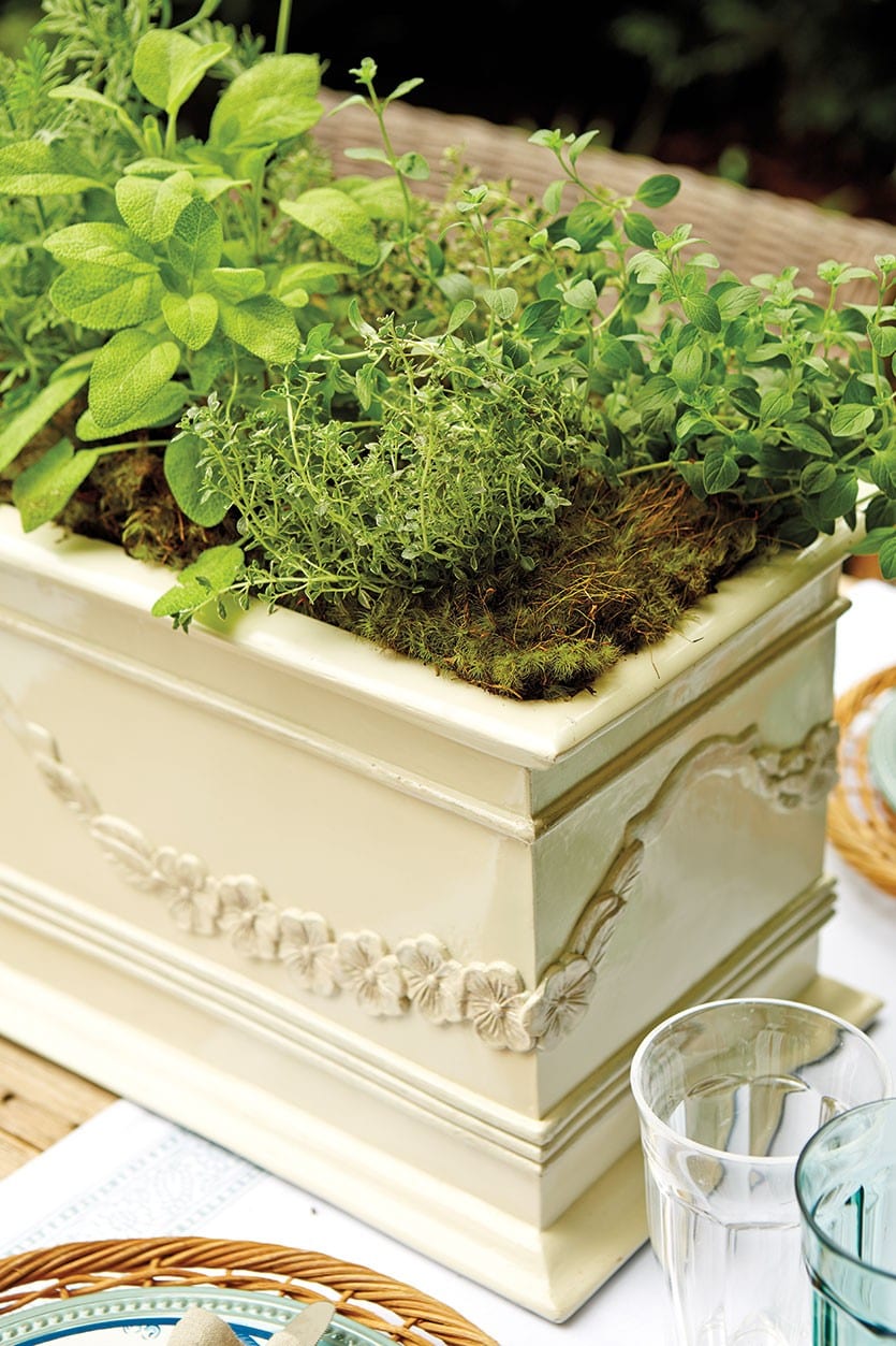 Tips for container gardening