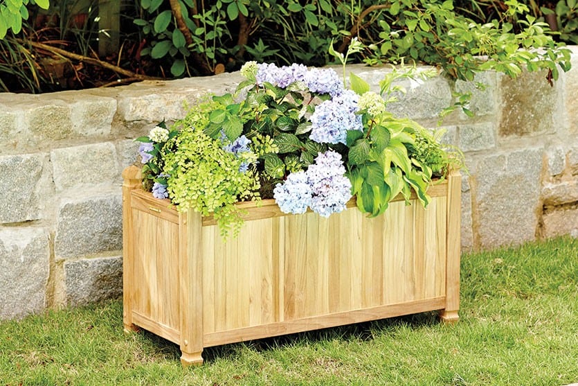 Tips for container gardening