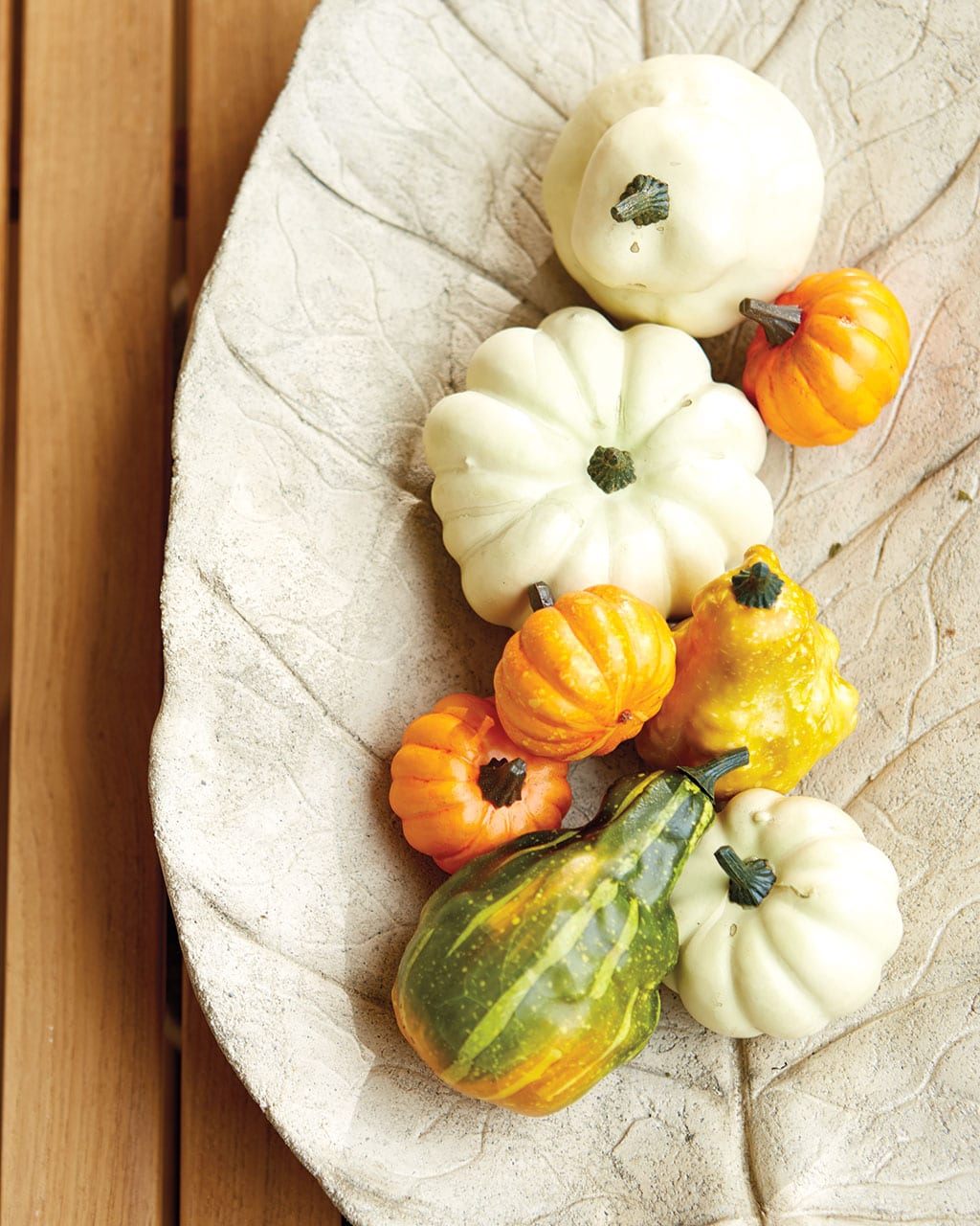 Pumpkins and gourds for your Front Porch