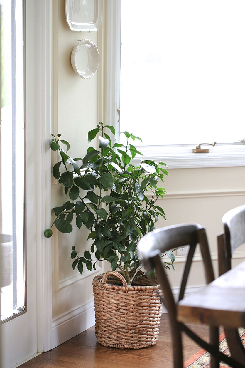 Blogger Julie Blanner's sunny, classic breakfast nook