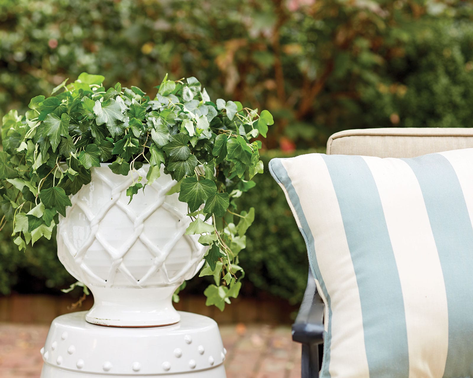 Accessorize with plants in your outdoor space