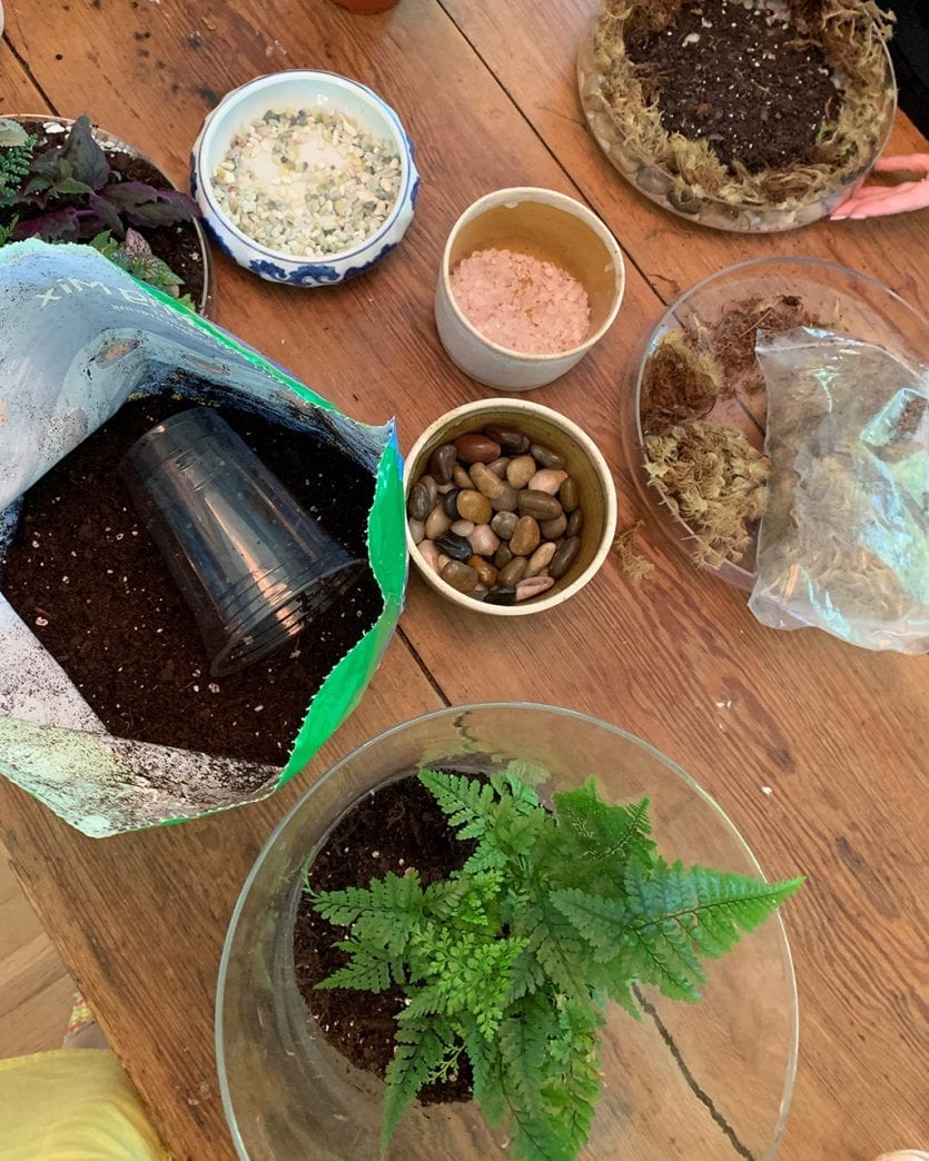 Making open terrariums