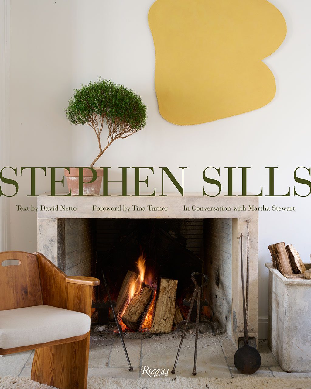 Stephen Sills book with Rizzoli books